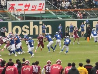 525 x 393 x 120,897�o�C�g