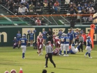 525 x 393 x 110,037�o�C�g