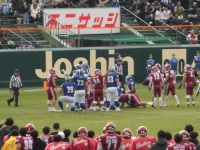 525 x 393 x 120,608�o�C�g