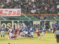 525 x 393 x 124,142�o�C�g