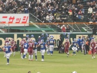 525 x 393 x 117,954�o�C�g