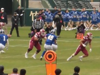 525 x 393 x 100,552�o�C�g