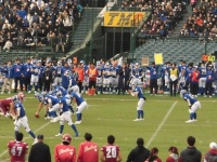 525 x 393 x 137,706�o�C�g