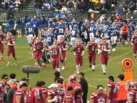 525 x 393 x 142,153�o�C�g