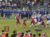 525 x 393 x 128,933�o�C�g