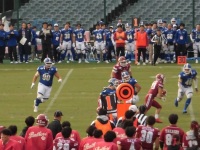 525 x 393 x 120,449�o�C�g