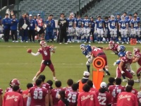 525 x 393 x 122,782�o�C�g