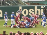 525 x 393 x 102,446�o�C�g