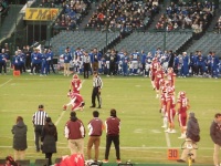 525 x 393 x 129,966�o�C�g