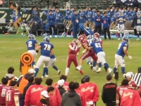 525 x 393 x 130,438�o�C�g