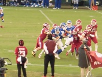 525 x 393 x 97,901�o�C�g