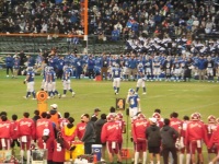 525 x 393 x 135,261�o�C�g