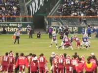 525 x 393 x 113,900�o�C�g