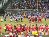 525 x 393 x 159,436�o�C�g