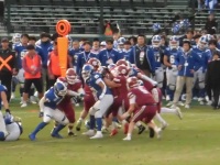 525 x 393 x 112,179�o�C�g