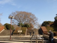 525 x 393 x 117,120�o�C�g