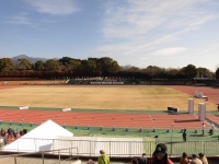 525 x 393 x 96,006�o�C�g