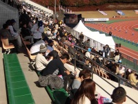 525 x 393 x 145,606�o�C�g