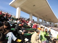 525 x 393 x 123,537�o�C�g