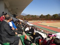 525 x 393 x 115,632�o�C�g