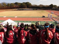 525 x 393 x 125,161�o�C�g