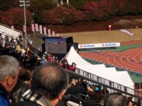 525 x 393 x 130,975�o�C�g