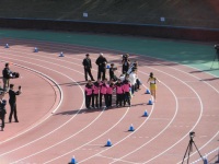 525 x 393 x 95,459�o�C�g