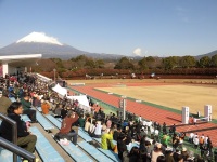 525 x 393 x 122,413�o�C�g