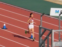 525 x 393 x 82,489�o�C�g