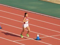 525 x 393 x 75,271�o�C�g