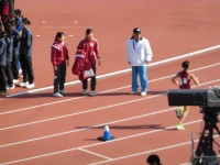 525 x 393 x 88,394�o�C�g