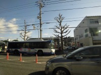 525 x 393 x 99,174�o�C�g