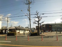 525 x 393 x 108,114�o�C�g