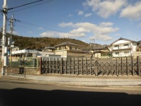 525 x 393 x 105,124�o�C�g