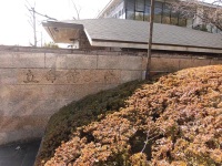 525 x 393 x 162,095�o�C�g