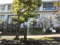 525 x 393 x 139,416�o�C�g