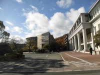 525 x 393 x 102,287�o�C�g