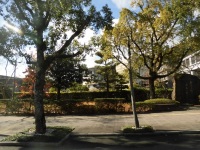 525 x 393 x 157,156�o�C�g