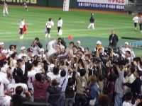 525 x 393 x 103,039�o�C�g