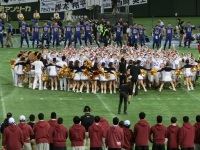 525 x 393 x 141,688�o�C�g