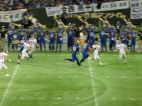 525 x 393 x 105,419�o�C�g