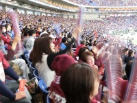 525 x 393 x 137,801�o�C�g