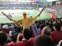 525 x 393 x 126,971�o�C�g