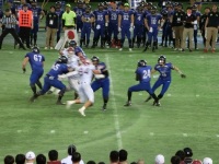 525 x 393 x 124,142�o�C�g