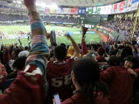 525 x 393 x 115,860�o�C�g