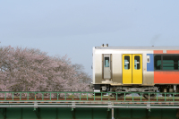 800 x 533 x 297,463バイト