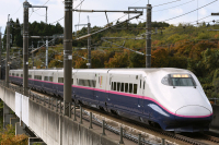 800 x 533 x 418,647oCg