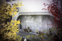 1024 x 683 x 452,651oCg