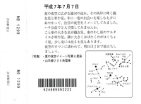 539 x 395 x 77,400oCg