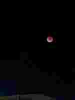 3000 x 4000 x 193,339oCg ̉摜͑傫̂ŕʉʂŕ\܂